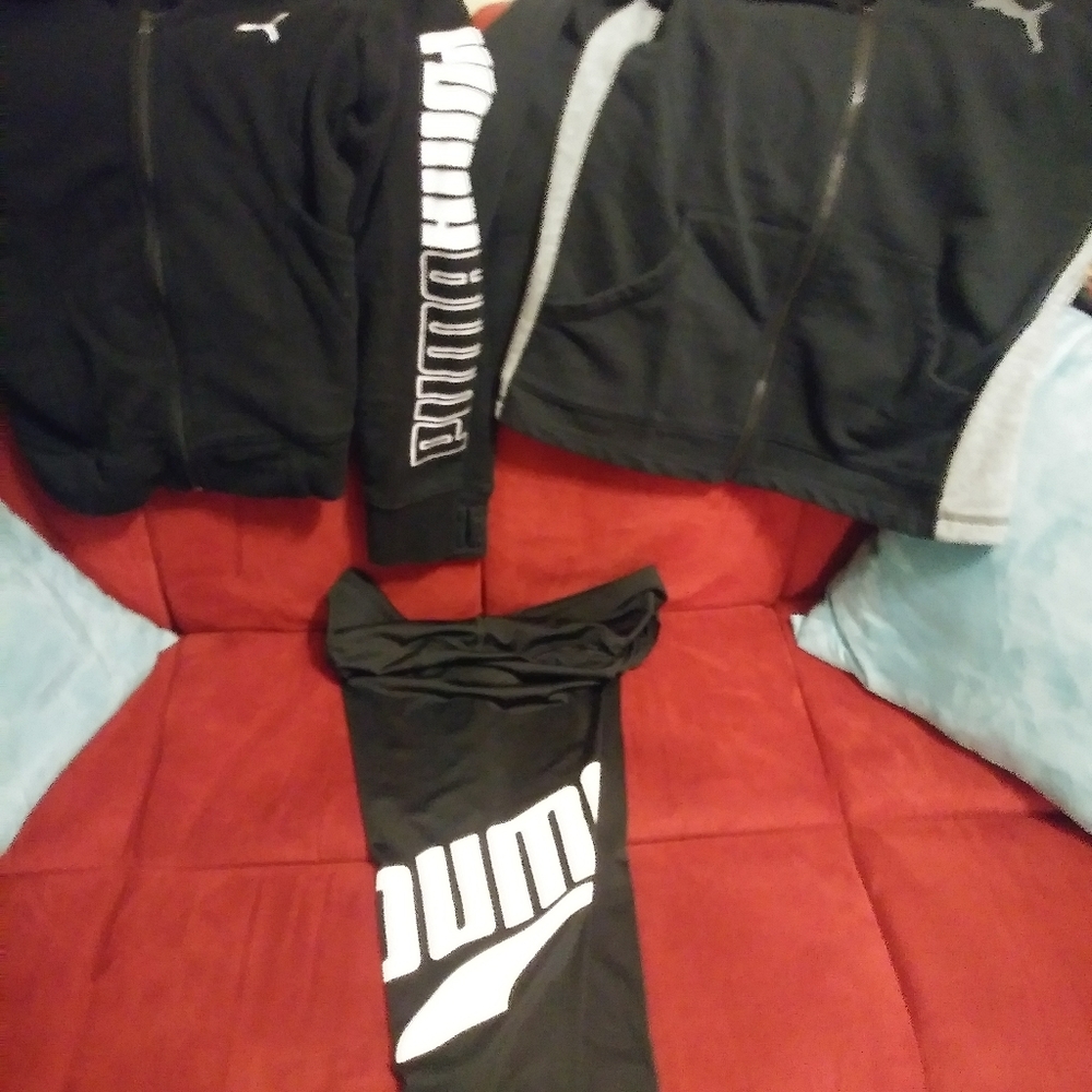 Puma lot